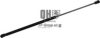 JP GROUP 1581203709 Gas Spring, boot-/cargo area